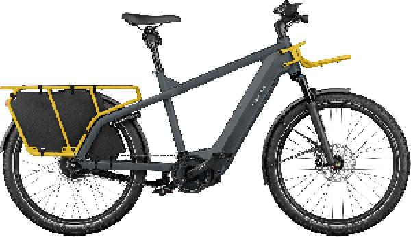 RIESE & MÜLLER Multicharger2 GT vario