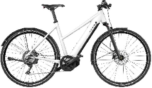 RIESE & MÜLLER Roadster