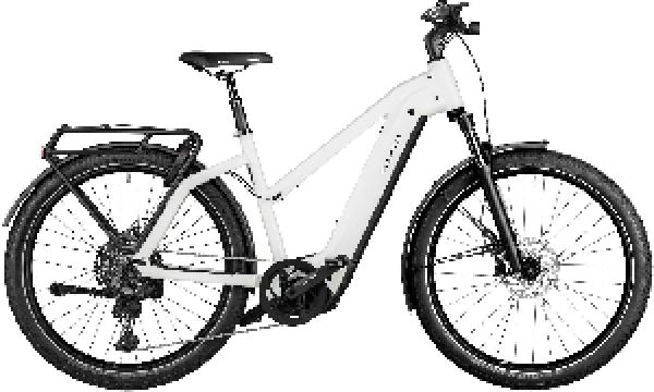 RIESE & MÜLLER Charger