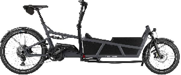 Riese & Müller Load5 75 touring