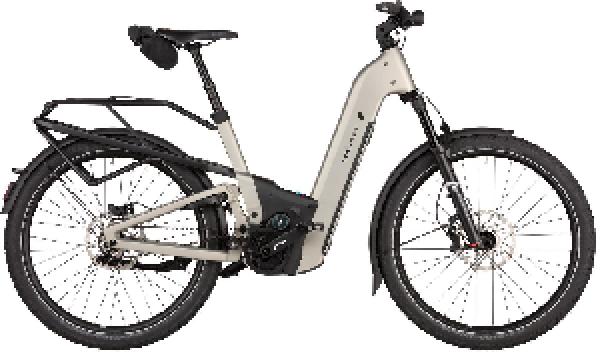 Riese & Müller Homage