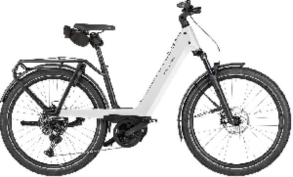 RIESE & MÜLLER Nevo5 touring