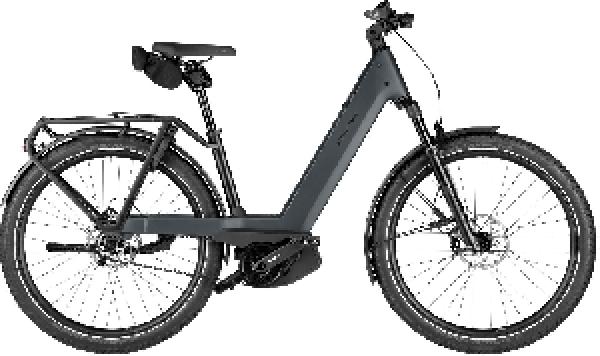 RIESE & MÜLLER Nevo5 pinion