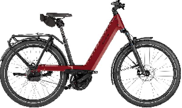 RIESE & MÜLLER Nevo5 automatic