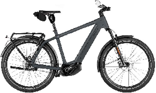 Riese & Müller Charger5 pinion HS