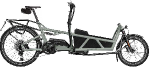 Riese & Müller Load5 60 touring HS